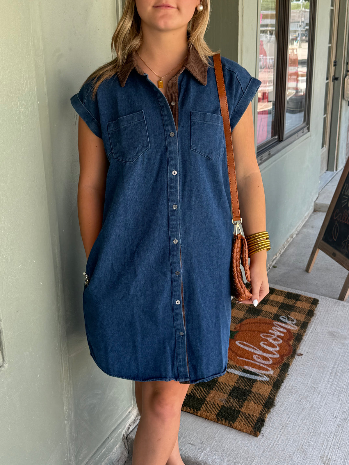 Cassie Denim Collared Dress